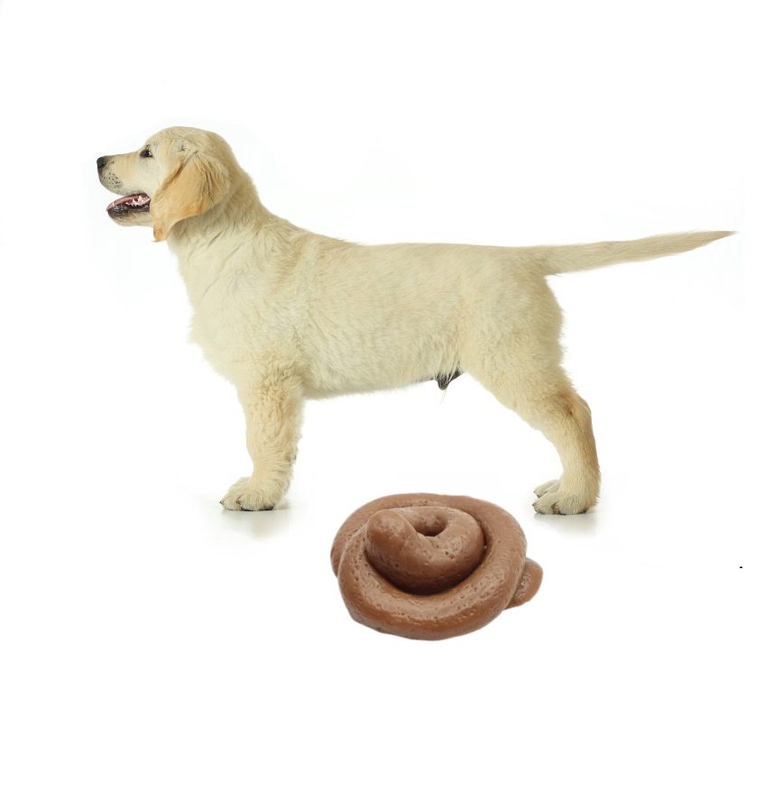 Fake Poop Gag Gift - Divertido Juguete Blandito de Caca para